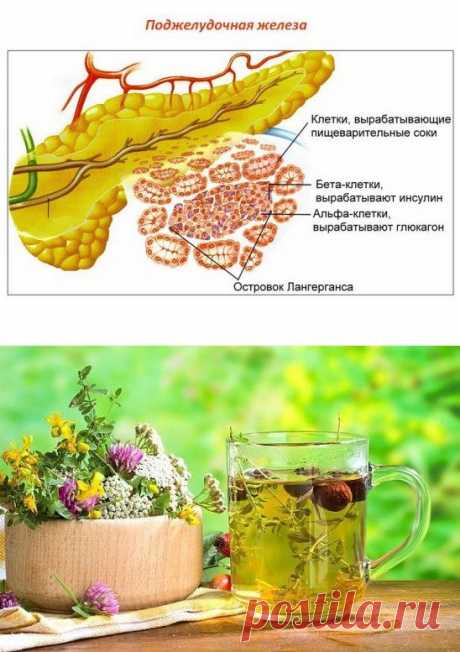 КАК ПОНИЗИТЬ САХАР В КРОВИ