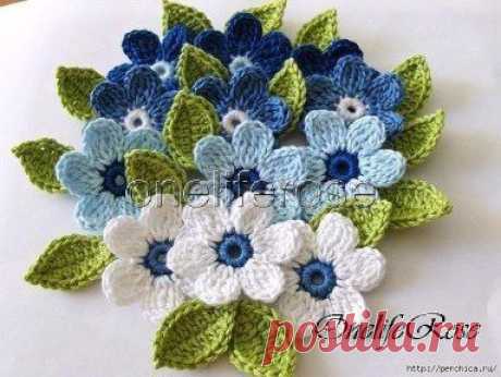 (46) Одноклассники