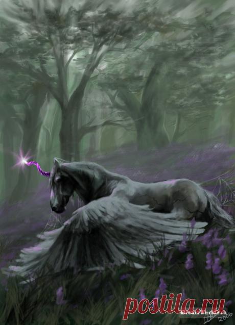 Аликорн - дитя единорога и пегаса » Сайт о лошадях KoHuKu.ru