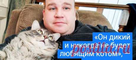 18 фото, которые стремительно приблизят вас к решению завести кота. Еще одного: