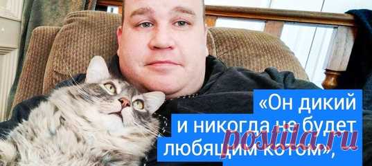 18 фото, которые стремительно приблизят вас к решению завести кота. Еще одного: