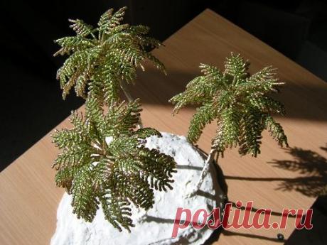 Пушистая Пальма | biser.info - всё о бисере и бисерном творчестве