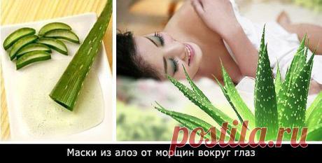Айболит
