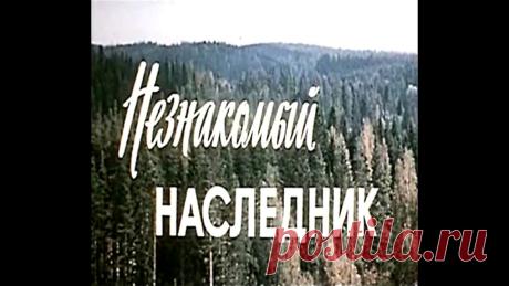 Незнакомый наследник.Комедия.1974 год. «Незнакомый наследник» — художественный фильм.1974 год.Режиссёр:Геннадий Казанский,Олег Дашкевич.Автор сценария:Афанасий Белов.Чётко и слаженно работала стро...