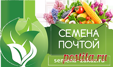 Почта Mail.ru