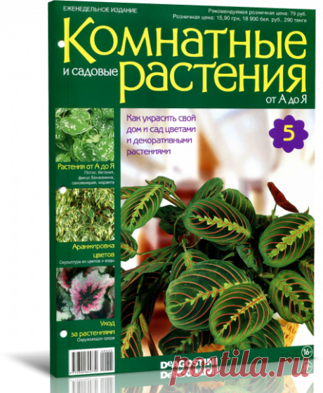 Комнатные и садовые растения от А до Я № 5 2014