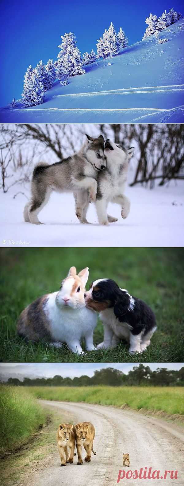 Новости