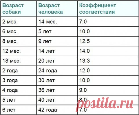 Таблица соответствия возраста собаки/кошки и человека | Уши, лапы, хвост