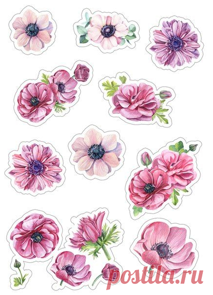 (115) Pinterest