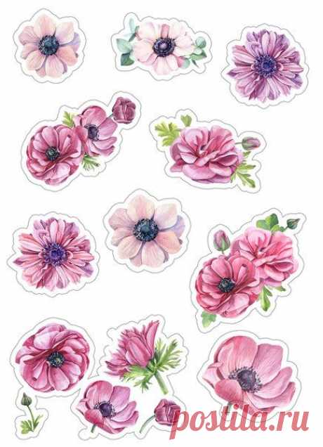 (115) Pinterest