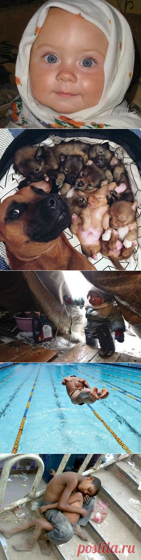 До глубины души. Супер! / Писец - приколы интернета