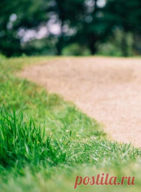 — Улыбайтесь, люди!
— По какому поводу?
— Разве вы не в курсе?
Бродит май по городу!..