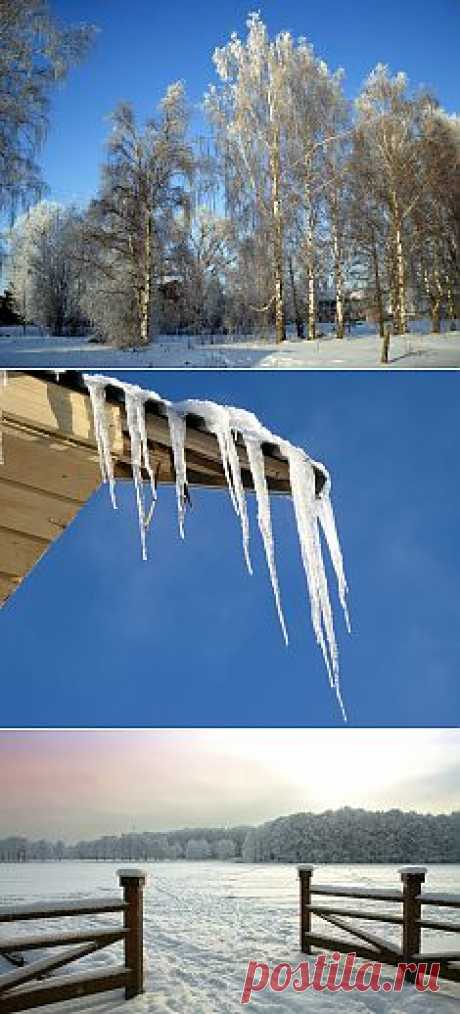 Листаем народный календарь: конец января - начало февраля / Календарь садовода-огородника / 7dach.ru