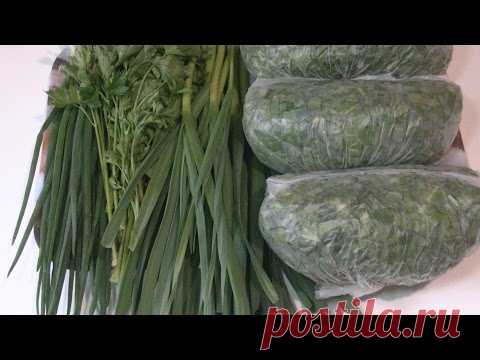 Заморозка щавеля с зеленью / Заготовки на зиму.