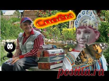 Улыбалась черемуха клену. Песни под гармонь.  Smiling cherry maple. Song of the accordion.