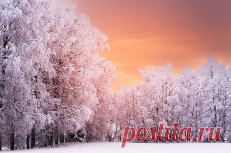 This is also from Rena, an amazing sunset. Frozen trees are so beautiful!
#Rena #colors #elv #frozen #lake #norge #norway #norwegian #river #sun #sunset #trees #winter | &quot;Winter Playground&quot; by Theo Braathen Triadafillos / 500px