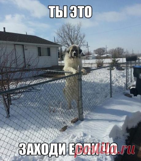 Лилия Советкина | ВКонтакте