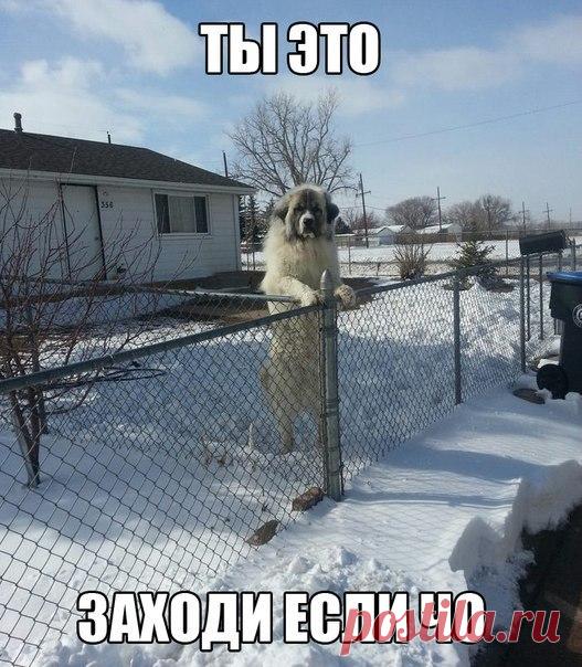 Лилия Советкина | ВКонтакте