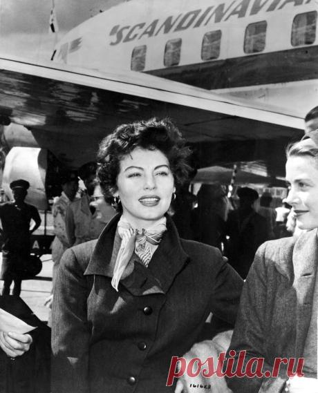 The special edition: Ava Gardner: humus — ЖЖ