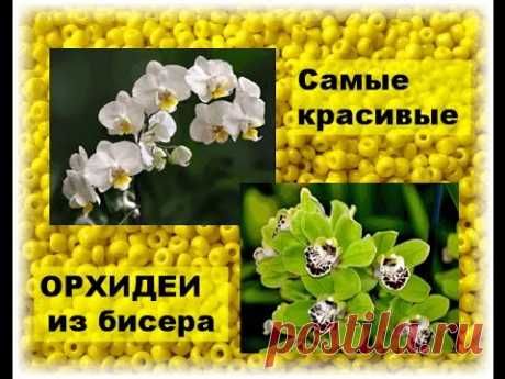 Красивые орхидеи из бисера. Вдохновляйтесь