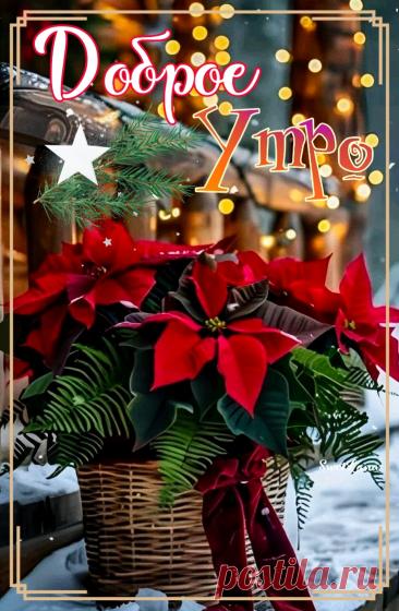 С добрым утром