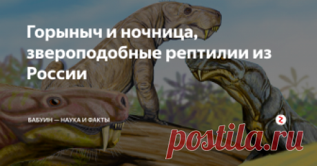 Горыныч и ночница, звероподобные рептилии  из России Повороты эволюции на пути к млекопитающим
Сегодня речь пойдёт о наших дальних родственниках из отряда терапсид или звероподобных рептилий класса синапсид. Их клада териодонтов включает три подотряда: тероцефалов, горгонопсов и цинодонтов. А последние являются предками млекопитающих. Но сегодня есть повод поговорить о тероцефалах и горгонопсах, потому как 3 типовых вида, из Кировской области России