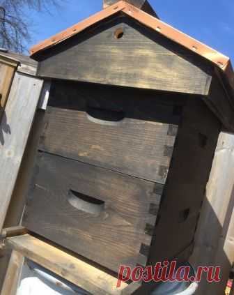 КАКОЙ УЛЕЙ ЛУЧШЕ ИСПОЛЬЗОВАТЬ?

У пчёл настало время отдыха и покоя, а у пчеловодов появились новые заботы. Как раз время порассуждать об ульях: какой же лучше - 16-рамочный, 24-рамочный лежак, многокорпусный или улей какой-либо другой конструкции, утепленный или неутепленный. Итак, какой же лучше? Это в первую очередь волнует начинающих пчеловодов, ибо ульи стали очень дороги и вопрос: «А не смастерить ли мне самому?» очень актуален на сегодняшний день.

Пчёлы - лесные жи...