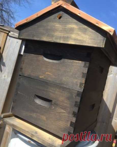 КАКОЙ УЛЕЙ ЛУЧШЕ ИСПОЛЬЗОВАТЬ?

У пчёл настало время отдыха и покоя, а у пчеловодов появились новые заботы. Как раз время порассуждать об ульях: какой же лучше - 16-рамочный, 24-рамочный лежак, многокорпусный или улей какой-либо другой конструкции, утепленный или неутепленный. Итак, какой же лучше? Это в первую очередь волнует начинающих пчеловодов, ибо ульи стали очень дороги и вопрос: «А не смастерить ли мне самому?» очень актуален на сегодняшний день.

Пчёлы - лесные жи...