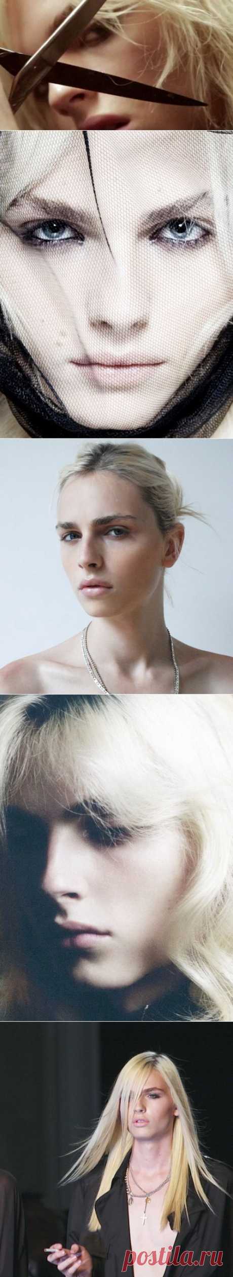 . Андрей Пежич (англ. Andrej Pejic) — модель, манекенщик сербско-хорватского происхождения. Знаменит в мире моды своей андрогинной внешностью