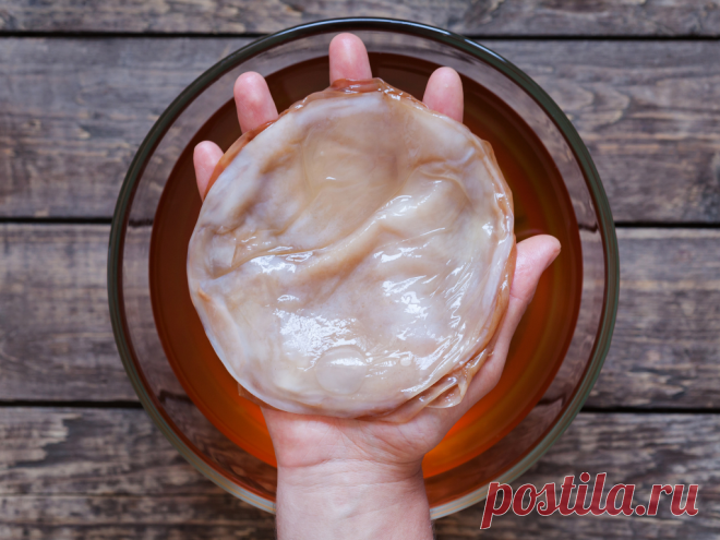 Чайный гриб: что говорит наука о напитке 