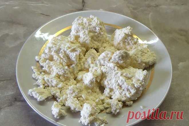 Как сварить творог из прокисшего молока рецепт с фото - 1000.menu