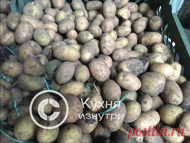 Не знаете куда девать мелочь от картошки. Покажу как приготовить изысканный картофель «бэйби» с розмарином | Кухня изнутри | Яндекс Дзен
