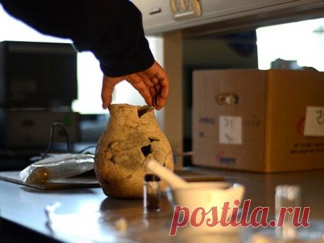 Ученые обнаружили в Италии оливковое масло возрастом около 4 тыс. лет | История