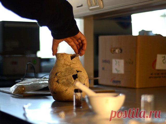 Ученые обнаружили в Италии оливковое масло возрастом около 4 тыс. лет | История