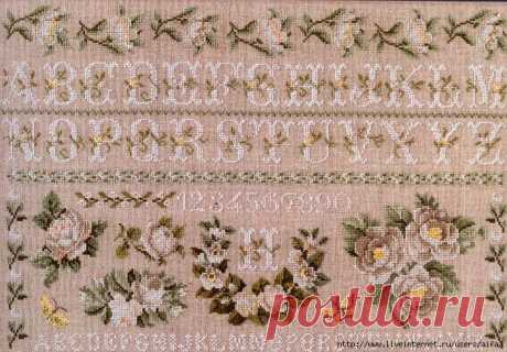 White Roses ABC DMC Вышивка крестом, схемы