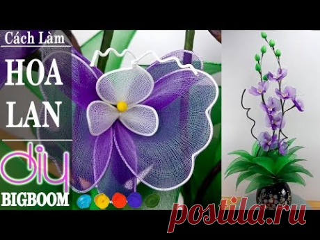 Hướng dẫn cách tự làm Hoa Lan (tím) bằng vải voan, cực đẹp | DBB-VN