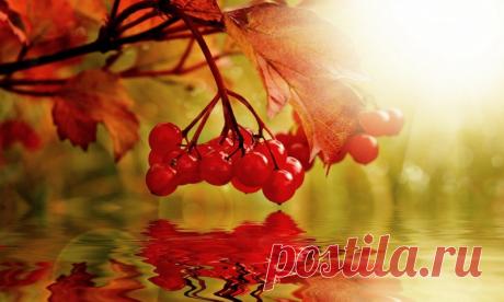 Бабульки рулят!)