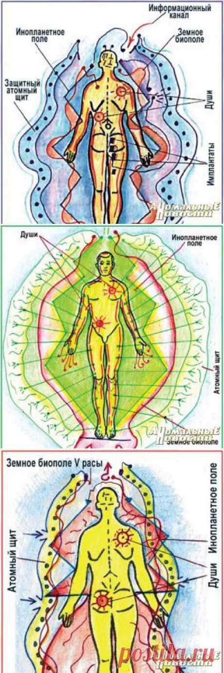 Шестая раса готова принять родителей — богов | Потерянные миры