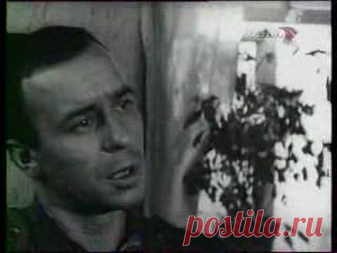 На поле танки грохотали. На войне как на войне (фильм)