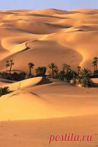 (156) Pinterest