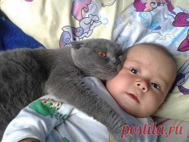 Обнимашки)