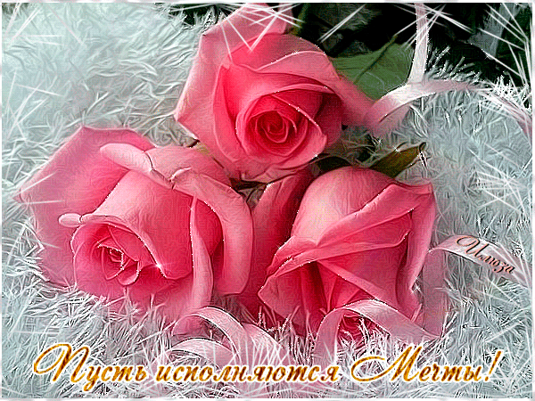 Мой Мир@Mail.Ru