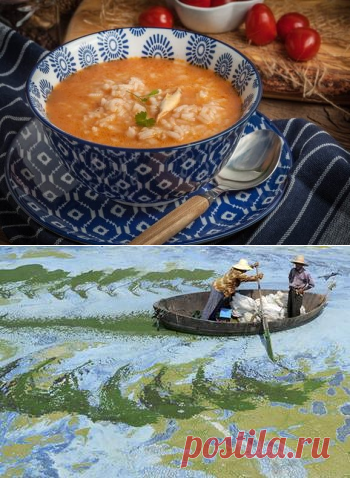 5 вкуснейших домашних супов с рисом