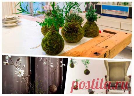Crear nuestro propio kokedama o plantas sin maceta - enrHedando