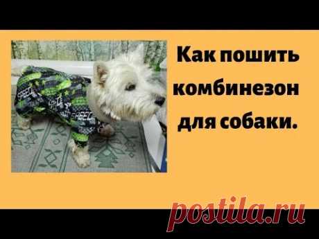Как пошить комбинезон для собаки