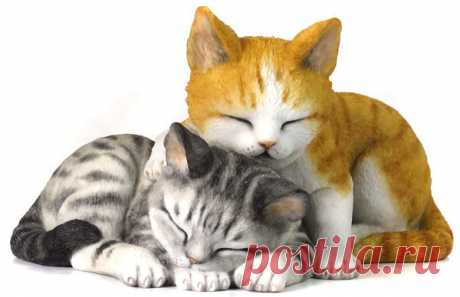 Спокойной ночи 13*8 см Спокойной ночи 13*8 см,TOP ART STUDIO,
