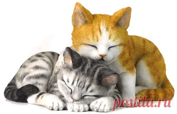 Спокойной ночи 13*8 см Спокойной ночи 13*8 см,TOP ART STUDIO,