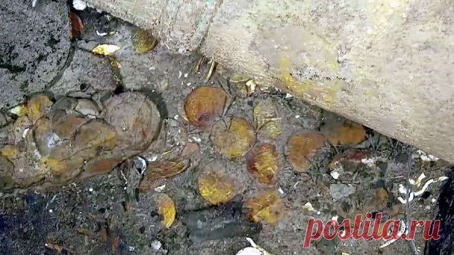 В Колумбии показали 300-летний затонувший корабль с богатствами на миллиарды долларов | Калейдоскоп новостей | Яндекс Дзен