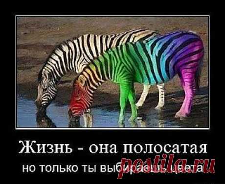 TАРО: ЖИЗНЕННЫЕ СОВЕТЫ