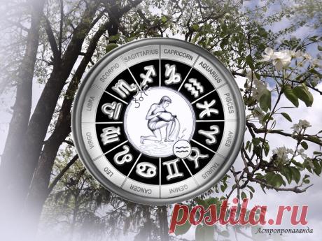 Сохраняйте верность принципам. Гороскоп для Водолея с 29 марта по 2 мая 2021 | Астропропаганда | Яндекс Дзен
♒✨ Автор: астролог Нина Стрелкова. ✧ В этот период вас могут подстерегать всевозможные соблазны. Вы привлекаете к себе многих людей, и среди них могут быть нечестные и желающие вас втянуть во что-то рискованное. Сохраняйте благоразумие и верность принципам, советуйтесь близкими людьми, которые точно желают вам добра.